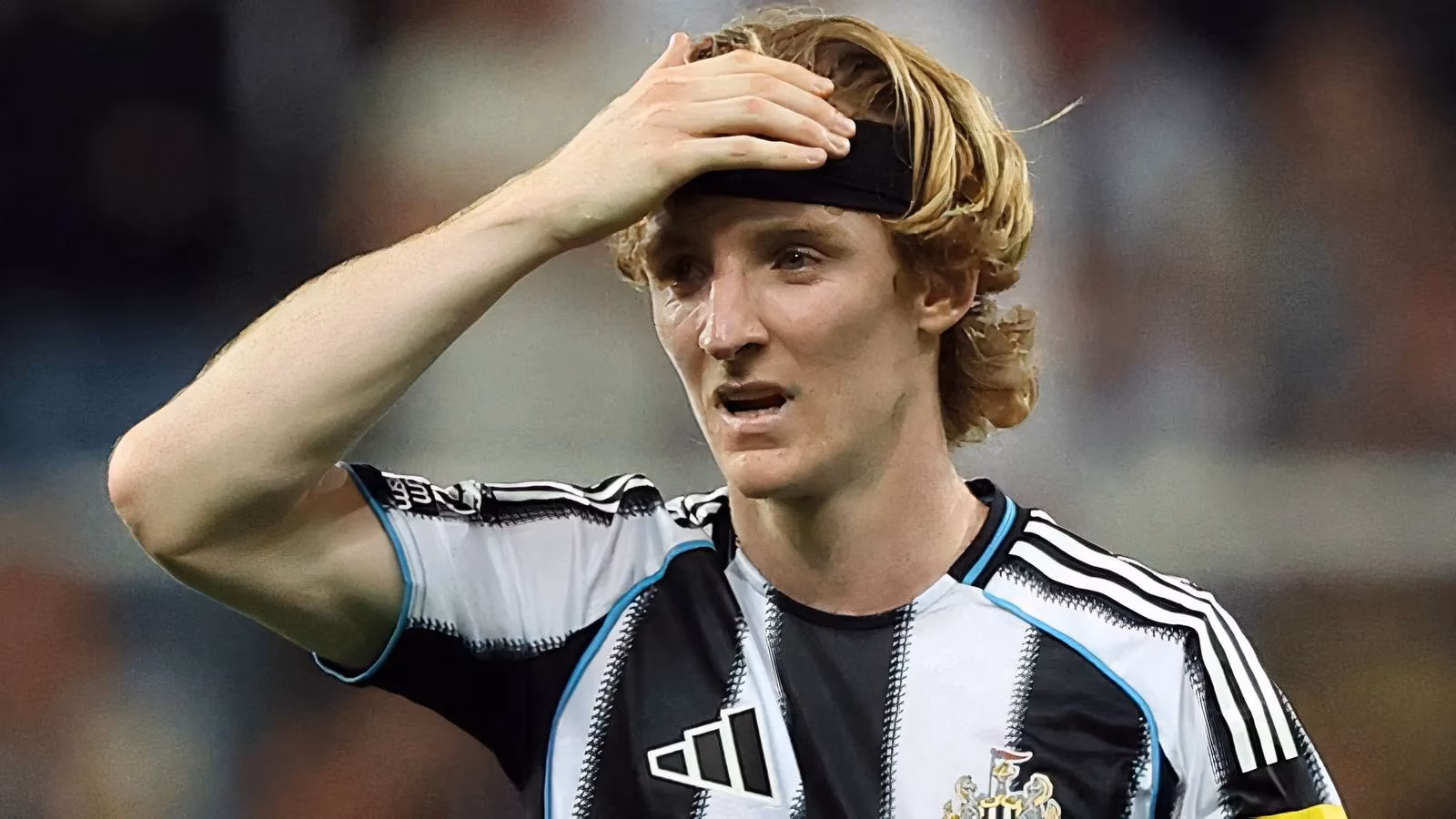 champions-league-joy-turns-sour-for-newcastle-as-injuries-mount-image-0
